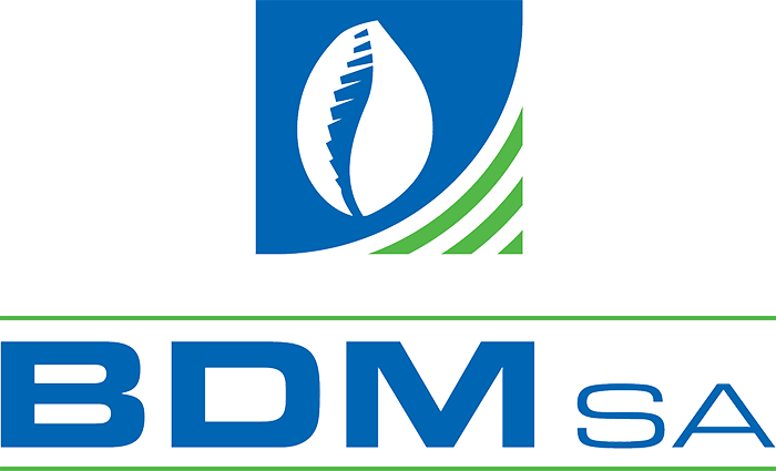 BDM - Banque de Développement du Mali